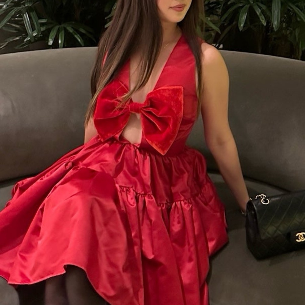 Emilie dress sau lee red size 2